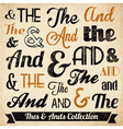 Various Vintage Thes and Ends Collection vector image