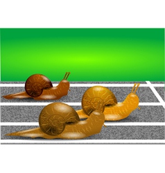 Snails on a racetrack vector image