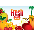 Fresh fruit vector image
