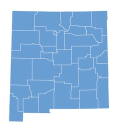 State map of New Mexico by counties vector image