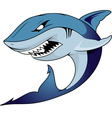 Shark vector image