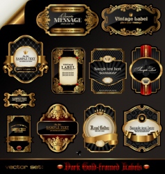 Black and golden labels vector image