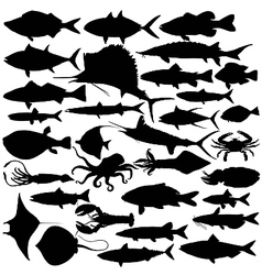 Sea life silhouettes vector image