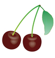 Cherry 1 v vector image