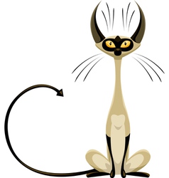 Siamese cat vector image