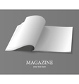 Magazine vector image