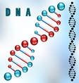 DNA strand vector image
