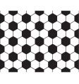 Football pattern vector image