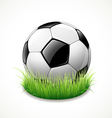 Football on green grass vector image