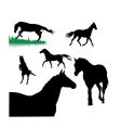 Horses silhouettes vector image