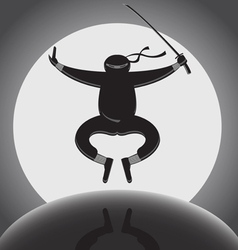 Ninja vector image