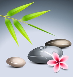 Zen theme vector image
