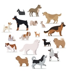 Dogs Breed Set in Cartoon Style Isolated on White Dogs Breed Set in Cartoon Style Isolated on White vector image