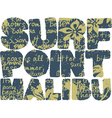 California surfing company vector image