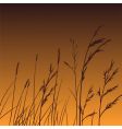 Plants dance at dawn vector image