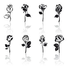 Icon set of roses with reflections vector image