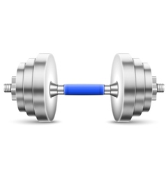 Metallic Glossy Dumbbell Isolated On White Metallic Glossy Dumbbell Isolated On White vector image
