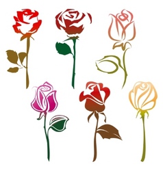 Roses sign vector image