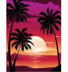 Sunset with palm vector image