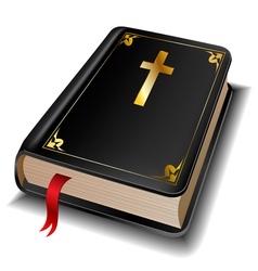 Holy Bible vector image