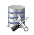 Screwdriver spanner vector image