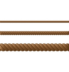 Rope in three sizes vector image