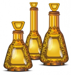 Three figured bottles vector image