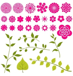 Flowers vector image