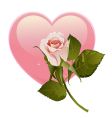 Simple rose and heart vector image