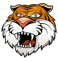 Head Tiger vector image