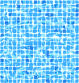 Blue ceramic tiles vector image