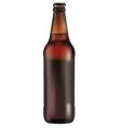 Beer bottle vector image