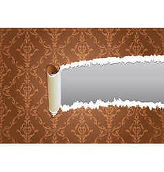 Torn wallpaper frame vector image