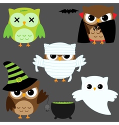 Halloween owls vector image