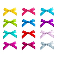 Ribbon bows vector image