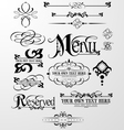Floral Design Element vector image