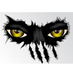 Eyes look vector image