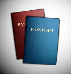 Two passports Two passports vector image