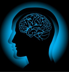 Brain vector image
