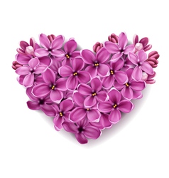 Heart from flowers vector image