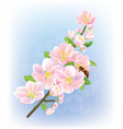 Blooming branch vector image