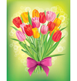 Bouquet of fresh spring tulips different colors vector image