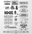 Label Design Element vector image