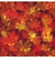 Autumn leaves seamless pattern vector image