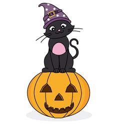 Cat sitting on a pumpkin vector image