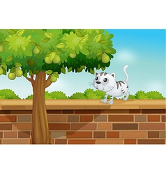 A cat on a wall vector image