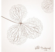 Flower vector image