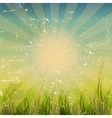 Grunge nature background with space for text vector image