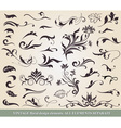 Collection of floral elements vector image