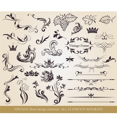 Collection of floral elements vector image